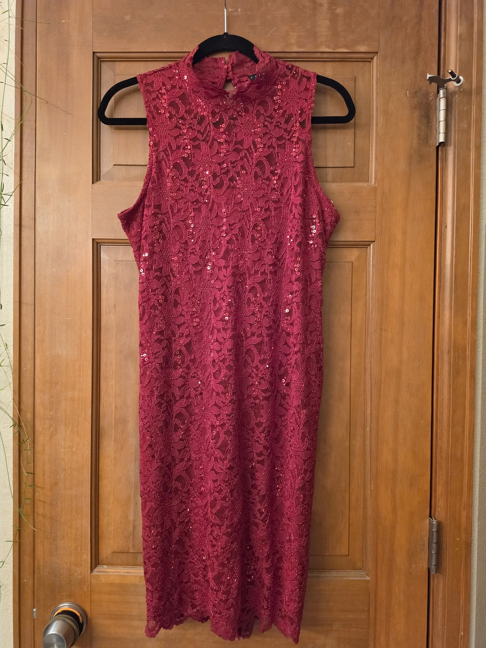 Sleeveless Red Lace Sequin Sheath Dress